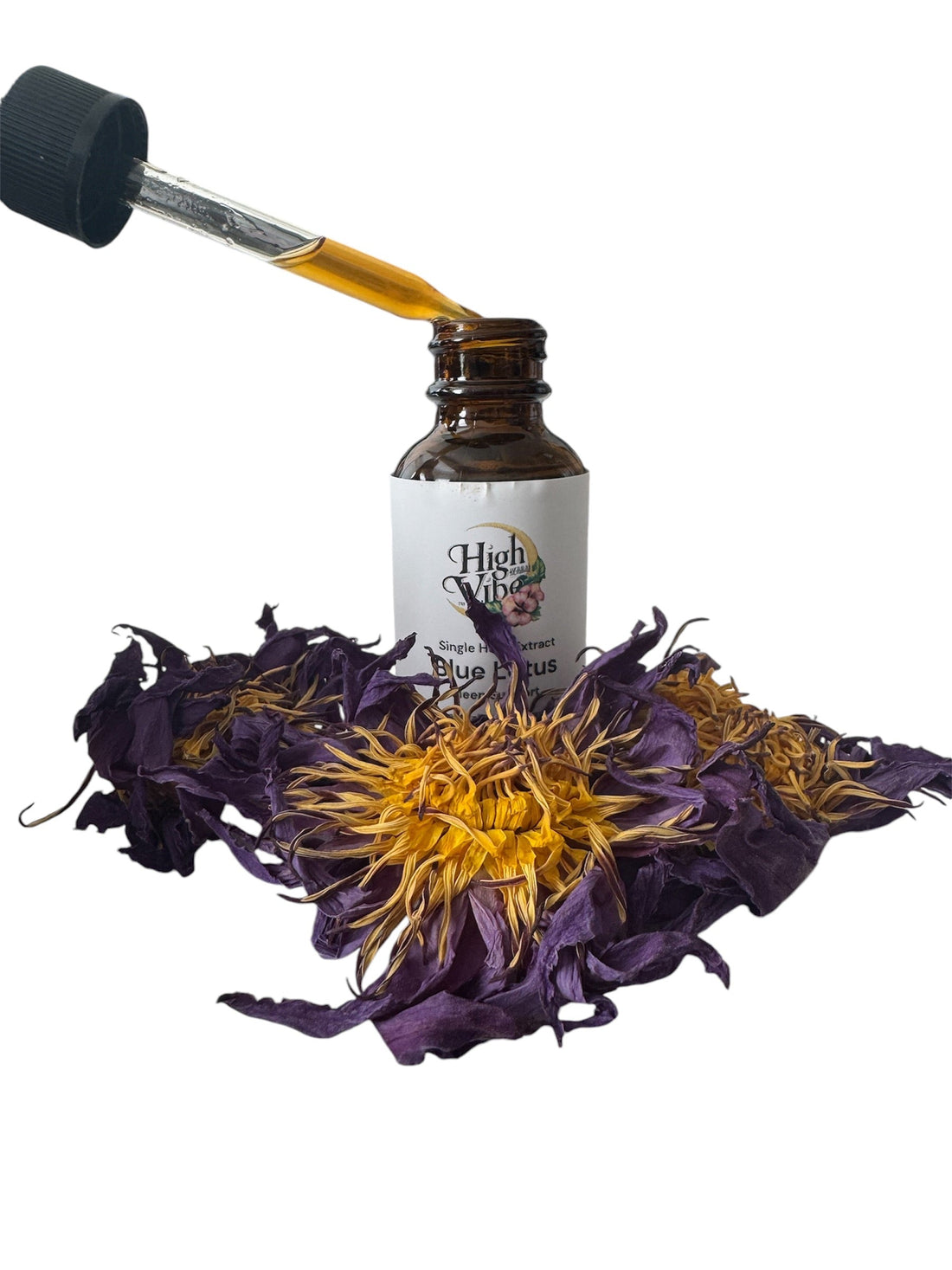 The Spirit of Blue Lotus