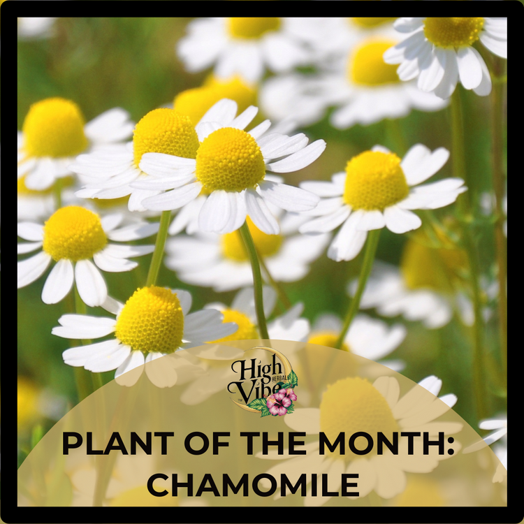 September Plant of the Month