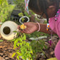 Edible Herbs Gardening Service - Your Living Apothecary - Consultation